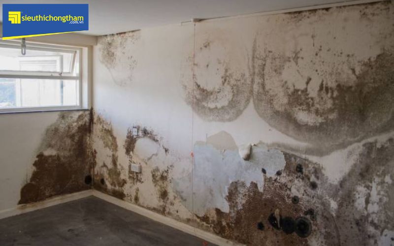 Quy trình xử lý và bảo vệ tường sau khi chống thấm